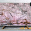 DA-ONYX-BABY-PINK