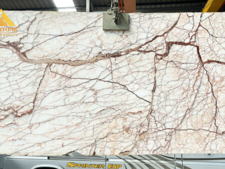 DA-MARBLE-TREE-ROOTS