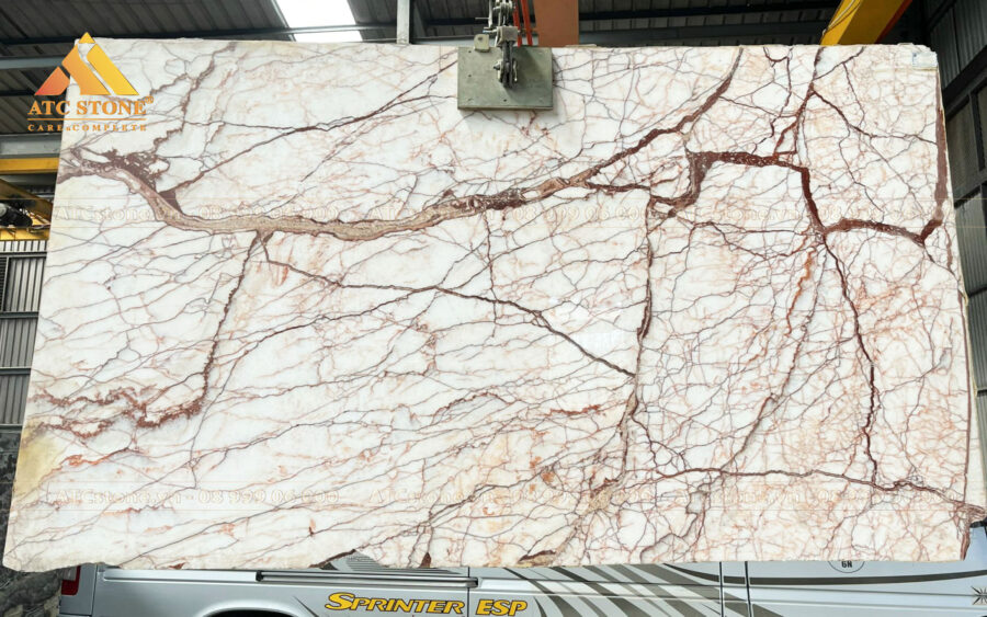 DA-MARBLE-TREE-ROOTS
