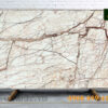 DA-MARBLE-TREE-ROOTS