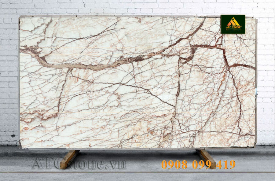 DA-MARBLE-TREE-ROOTS